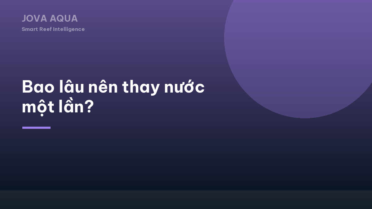 Bao lâu nên thay nước một lần?