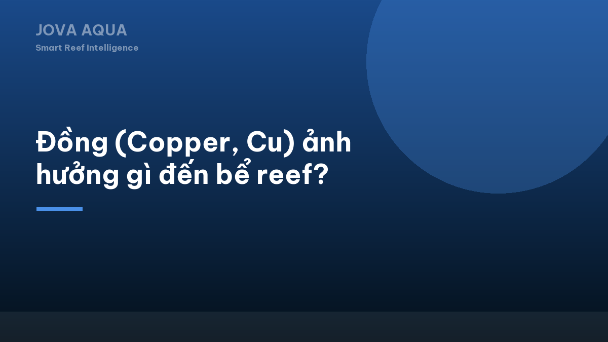 Đồng (Copper, Cu) ảnh hưởng gì đến bể reef?