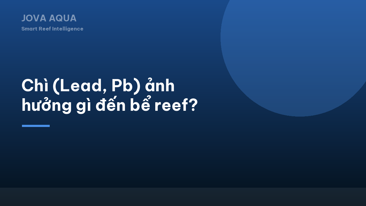 Chì (Lead, Pb) ảnh hưởng gì đến bể reef?