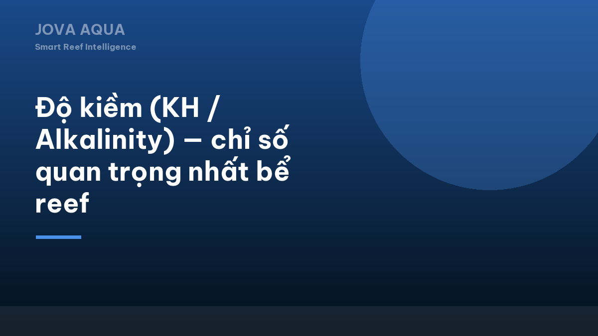 Độ kiềm (KH / Alkalinity) — chỉ số quan trọng nhất bể reef