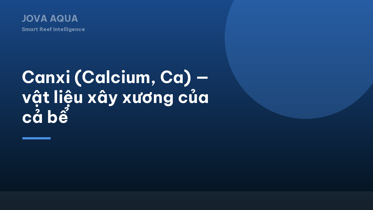 Canxi (Calcium, Ca) — vật liệu xây xương của cả bể