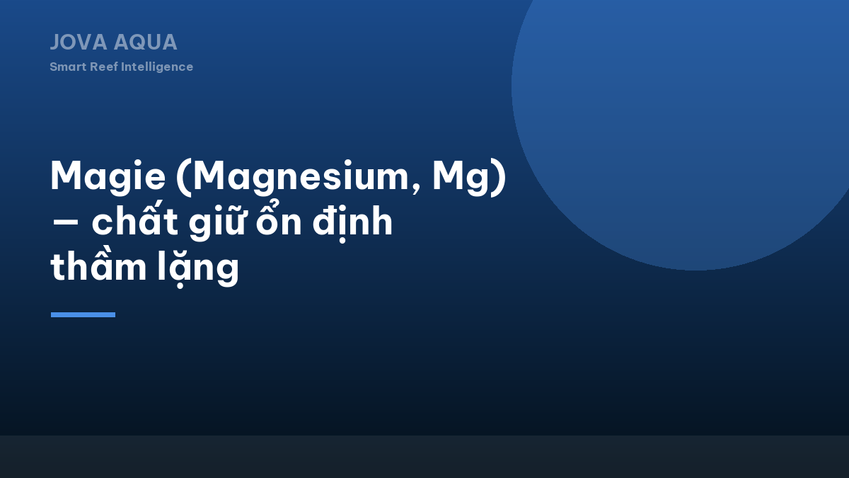 Magie (Magnesium, Mg) — chất giữ ổn định thầm lặng