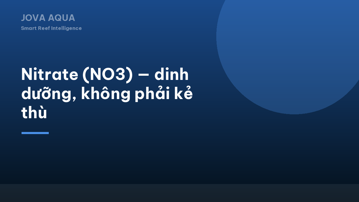 Nitrate (NO3) — dinh dưỡng, không phải kẻ thù