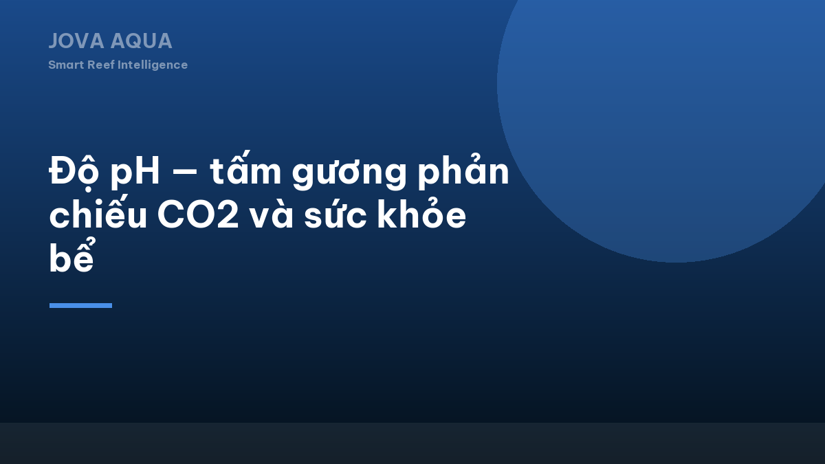 Độ pH — tấm gương phản chiếu CO2 và sức khỏe bể