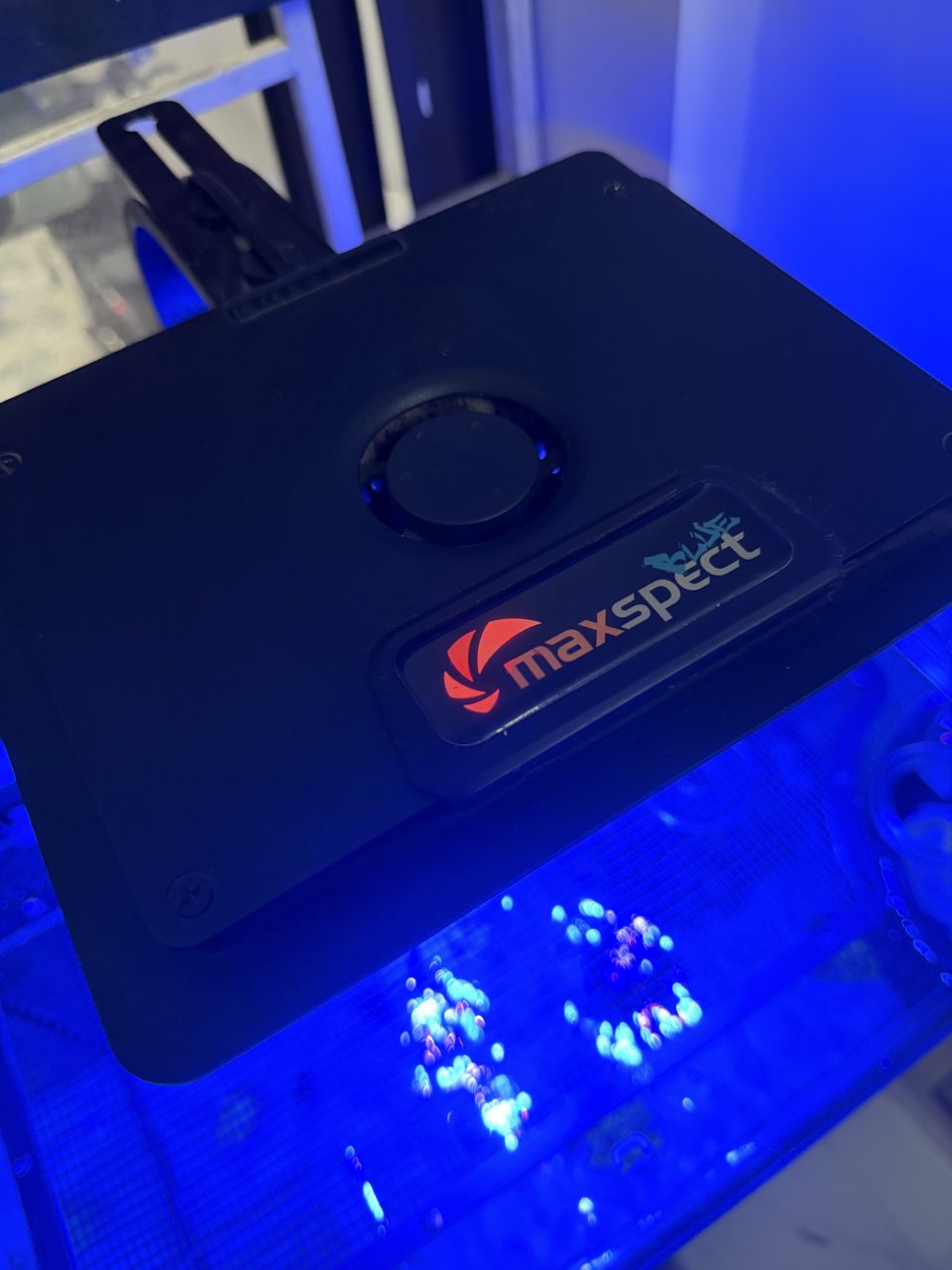Đèn MJ l165 blue - ảnh 1