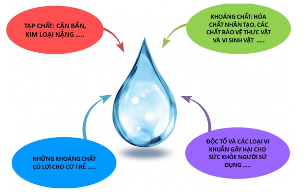TDS trong nước là gì, tại sao cần dùng nước lọc RO/DI cho bể cá biển